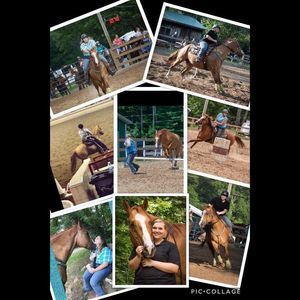 Meet your Posher, Victoria